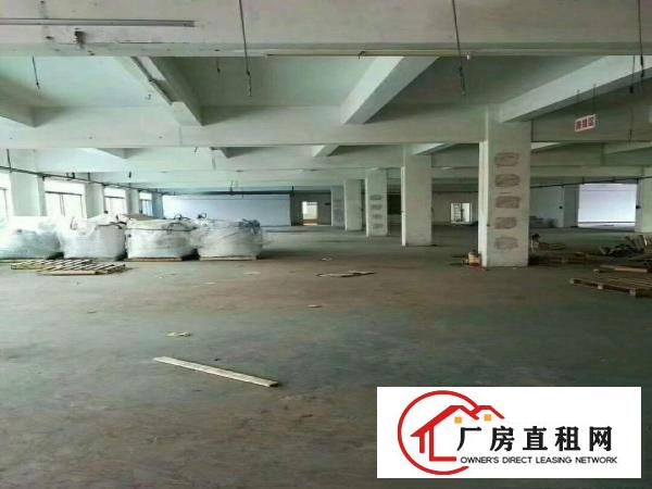 
龙岗新生新出独院5600平米带装修