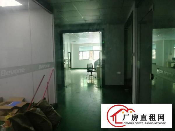 
龙岗爱联地铁附近电商办公300招租