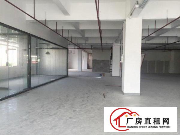
新出一楼厂房出租龙岗厂房招租可分租