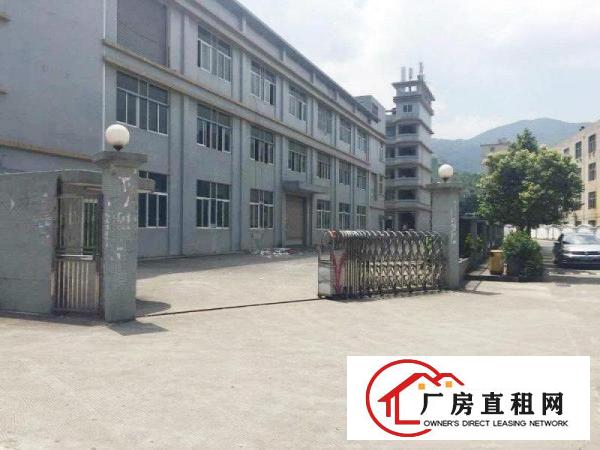 
新出一楼厂房出租龙岗厂房招租可分租