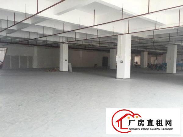 
新出一楼厂房出租龙岗厂房招租可分租