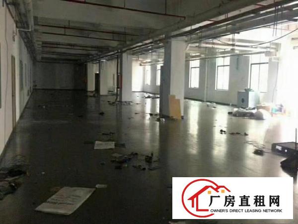 
爱联龙岗大道附近办公厂房10080大小面积出租