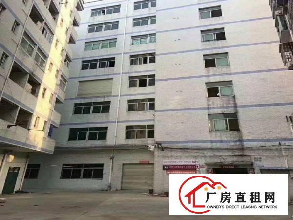 
爱联龙岗大道附近办公厂房10080大小面积出租