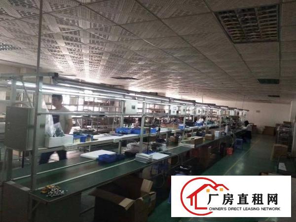 
爱联二楼500豪华装修厂房出租水电齐全