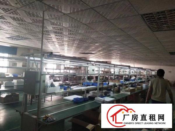 
爱联二楼500豪华装修厂房出租水电齐全