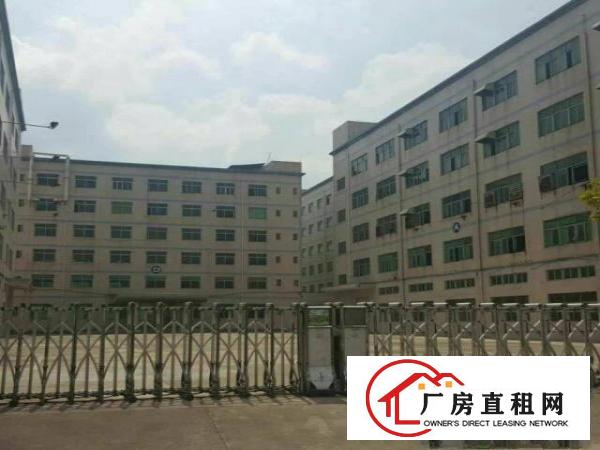 
龙岗南联原房东一二楼3000平米，厂房急租
