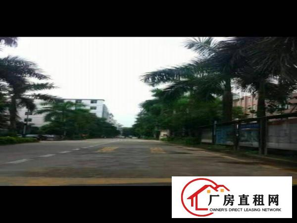 
龙岗南联电商国际产业园8001500平米，可分租