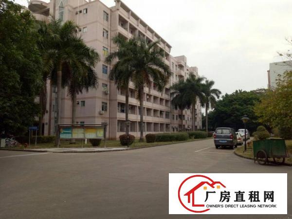 
厂房急租龙岗同乐原房东带装修2楼850平米