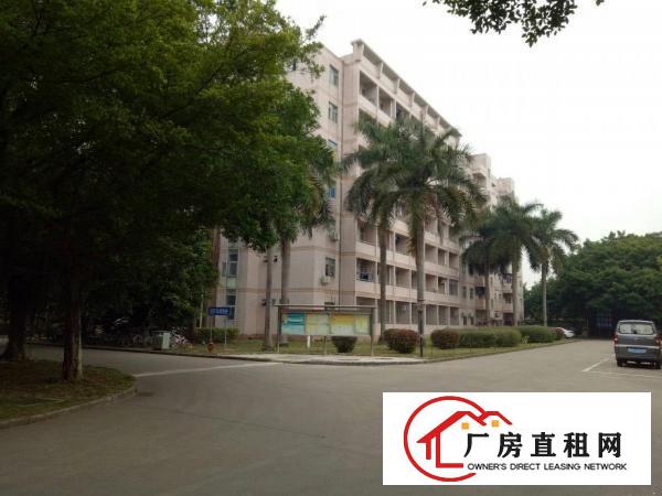 
厂房急租龙岗同乐原房东带装修2楼850平米