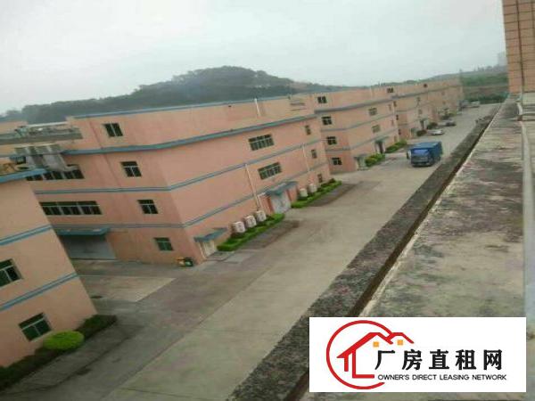
龙岗爱联一二楼2600平米，有装修厂房12元出租