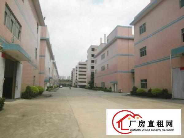 
龙岗爱联一二楼2600平米，有装修厂房12元出租