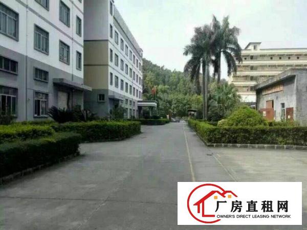 
龙岗爱联一二楼带装修3200平米，厂房急租