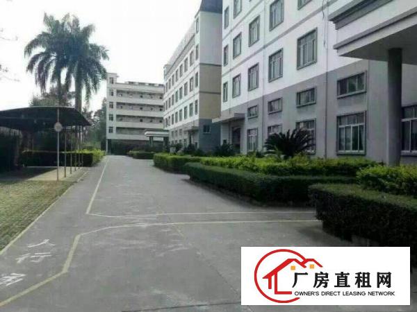 
龙岗爱联一二楼带装修3200平米，厂房急租