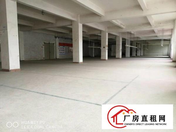 
龙岗龙东2300出租