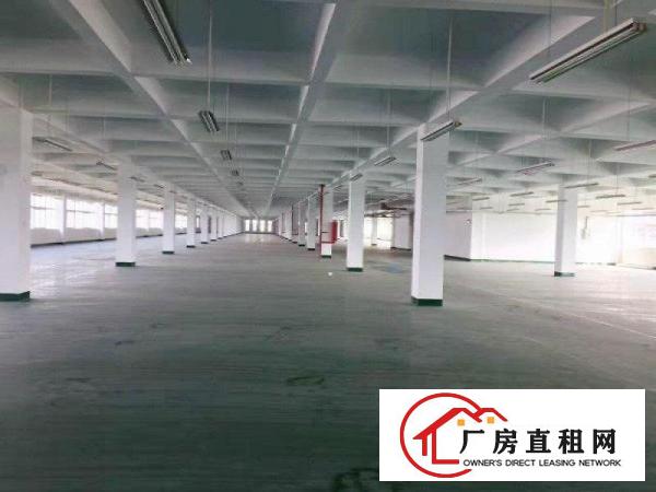 
一楼出租可分租500平，880平，1250平招租