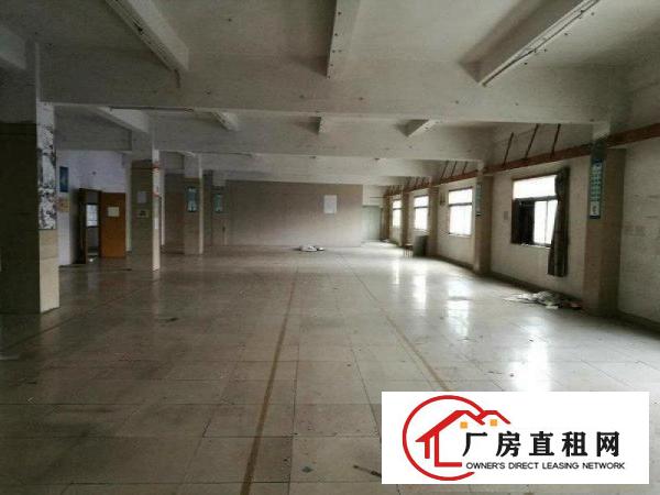 
房东直租！龙岗爱联嶂背一楼厂房600平底价出租