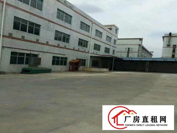 
房东直租！龙岗爱联嶂背一楼厂房600平底价出租
