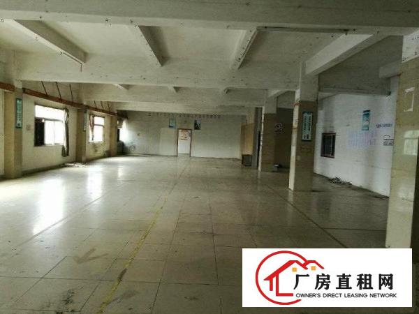 
房东直租！龙岗爱联嶂背一楼厂房600平底价出租