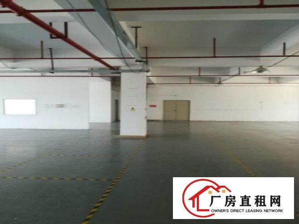 
龙岗龙东工业园厂房新出1.2楼800 400平