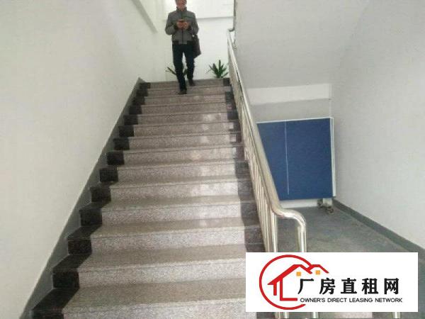 
龙岗南联地铁站原房东厂房2楼600平底价出租