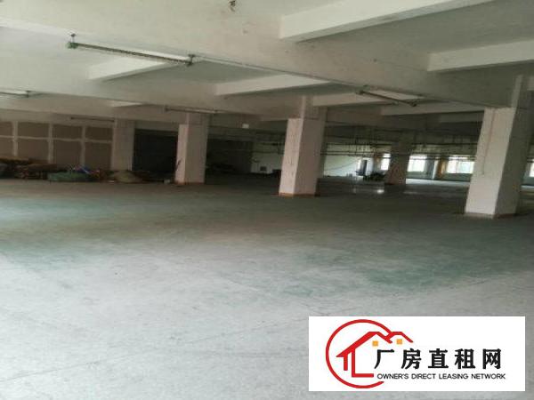 
原房东！南联社区大型工业园1万平（无公摊）招租
