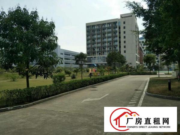 
龙岗宝龙新出楼上2100平带装修厂房出租