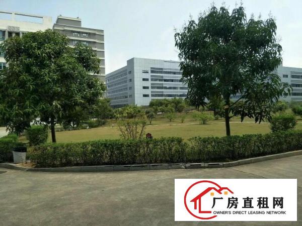
龙岗宝龙新出楼上2100平带装修厂房出租
