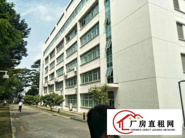 
龙岗宝龙新出楼上2100平带装修厂房出租