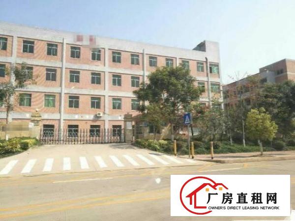 
龙岗南联地铁口新出独院厂房12000平出租
