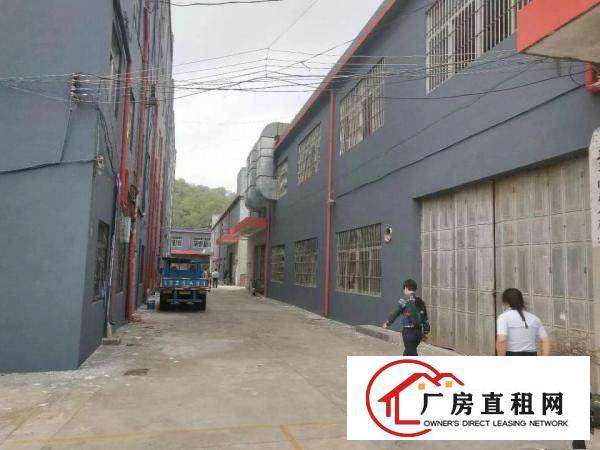 
龙岗新出独院2800至3000平出租，深圳厂房出租