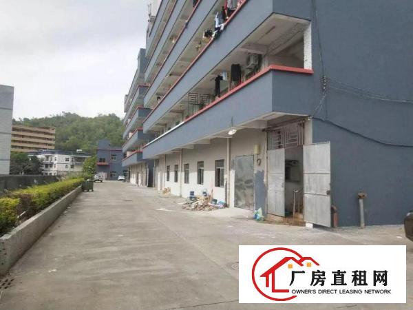 
龙岗新出独院2800至3000平出租，深圳厂房出租