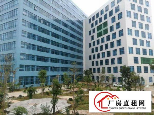 
龙岗中心城全新科技园30000平全面隆重招租