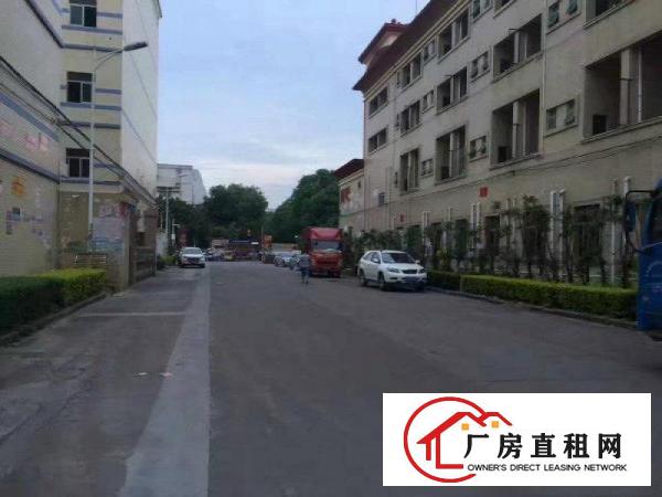 
龙岗区新生精装一楼660平米标准厂房出租交通方便