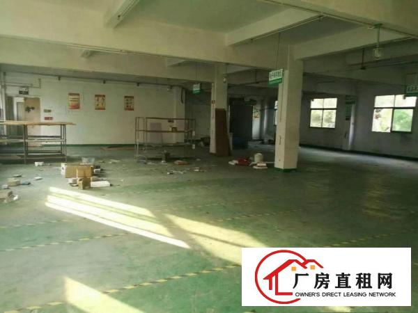 
龙岗中心城附近原房东独院3300平米带装修