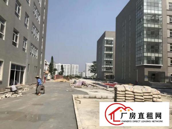 
龙岗高新产业园75000平米独院红本厂房，大小分租
