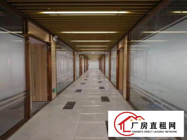 
龙岗中心城东进1号文化示范产业园出租大小分租