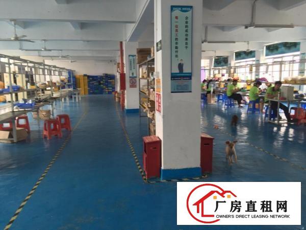 
龙岗南通道新出独院厂房5000平米业主直租可分租