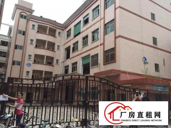 
龙岗宝龙科技园独门独院3000平米带装修.形象好