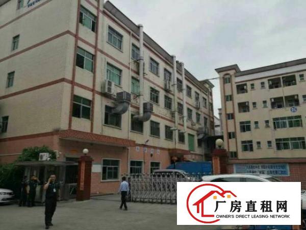 
龙岗宝龙高新产业区红本50000平米厂房招租可分