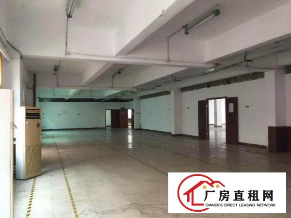 
龙岗宝龙高新产业区红本50000平米厂房招租可分