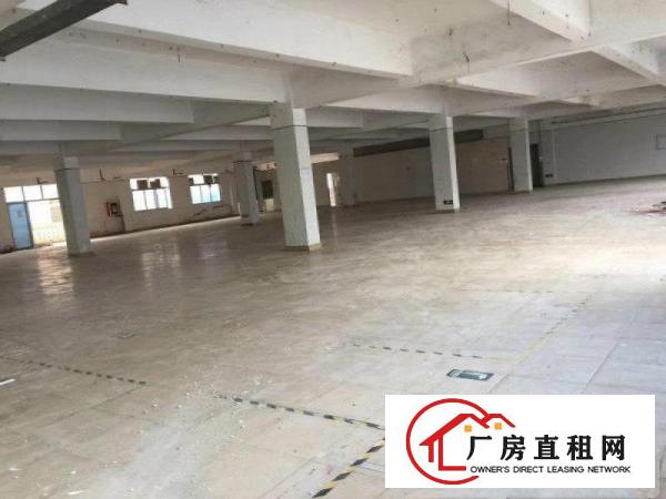 
龙岗宝龙高新产业区红本50000平米厂房招租可分