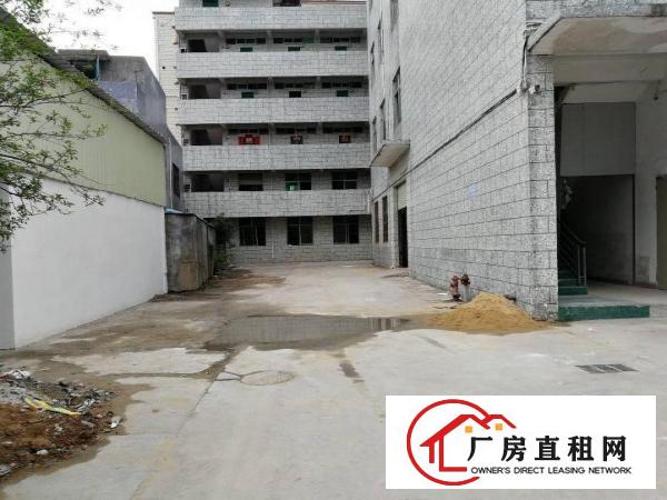 
龙东爱南路边独院厂房一万平方招租