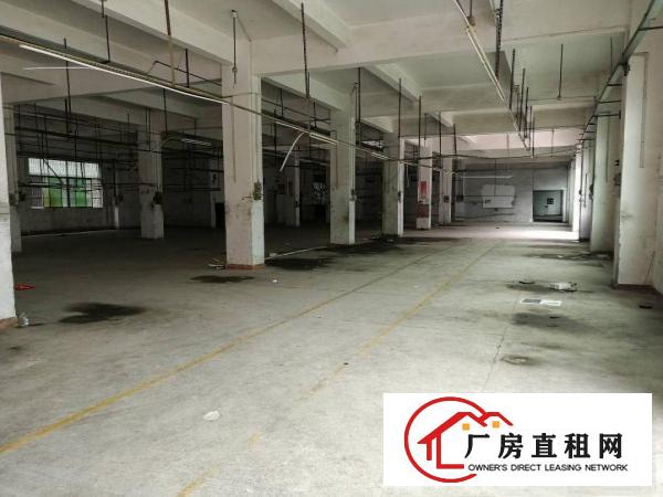 
龙东爱南路边独院厂房一万平方招租