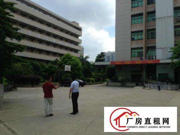 
龙岗业主直租独院厂房6000平米可分租