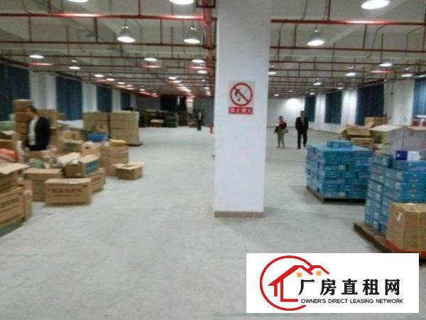 
龙岗业主直租独院厂房6000平米可分租