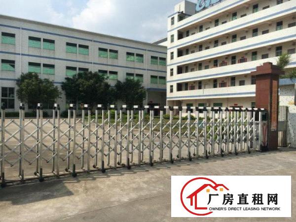 
业主独门独院6600平方整栋出租可分租
