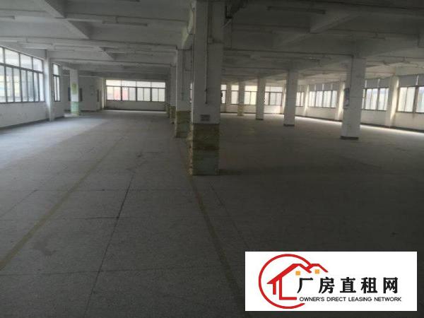 
业主独门独院6600平方整栋出租可分租