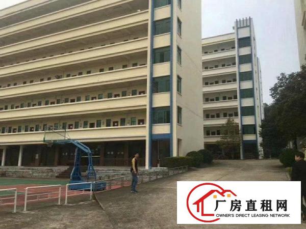 
原房东一楼2200无公摊厂房出租6米高可分租