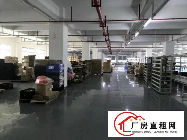 
龙岗业主直租4500平方独院厂房出租大小分租