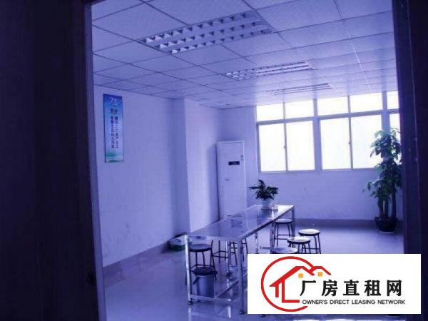 
龙岗同乐新出二楼500平送豪华装修招租带2吨电梯